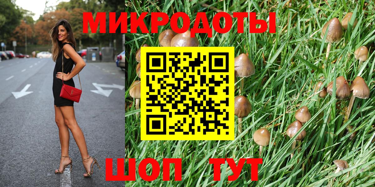 Галлюциногенные грибы GOLDEN TEACHER  Псилоцибиновые грибы Psilocybe  Донской  Вход с VPN 
