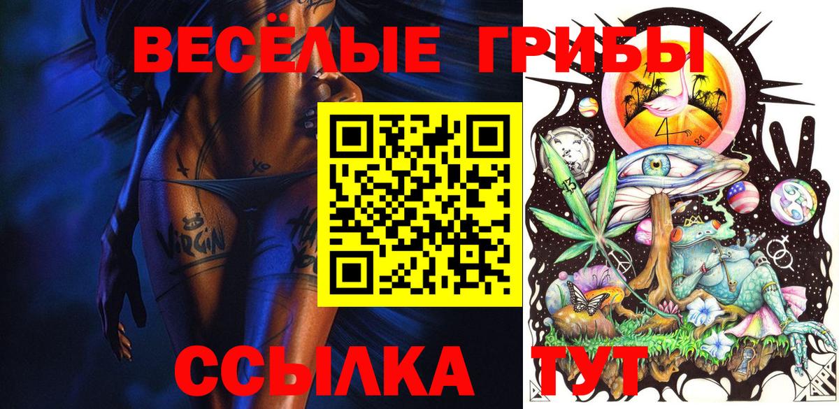 Галлюциногенные грибы Psilocybine cubensis Донской